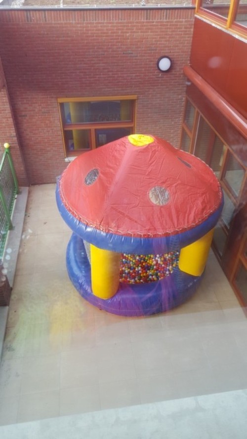 Ballenbak (Incl. ballenbakballen)